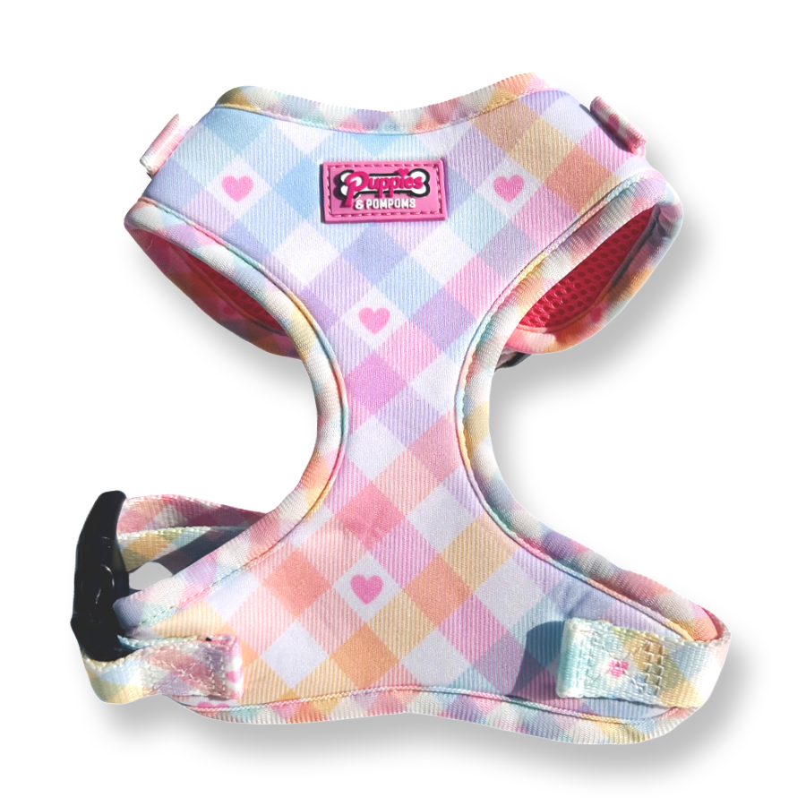 Pastel Vichy Harness-0