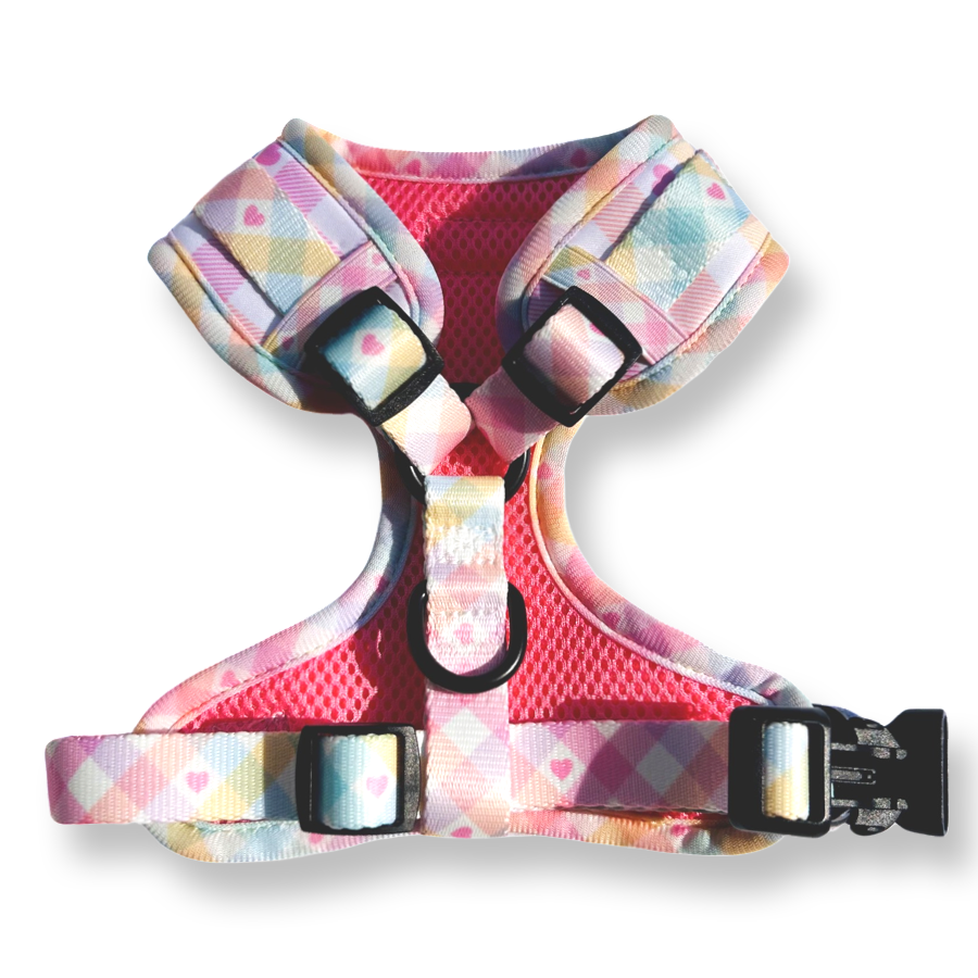 Pastel Vichy Harness-1