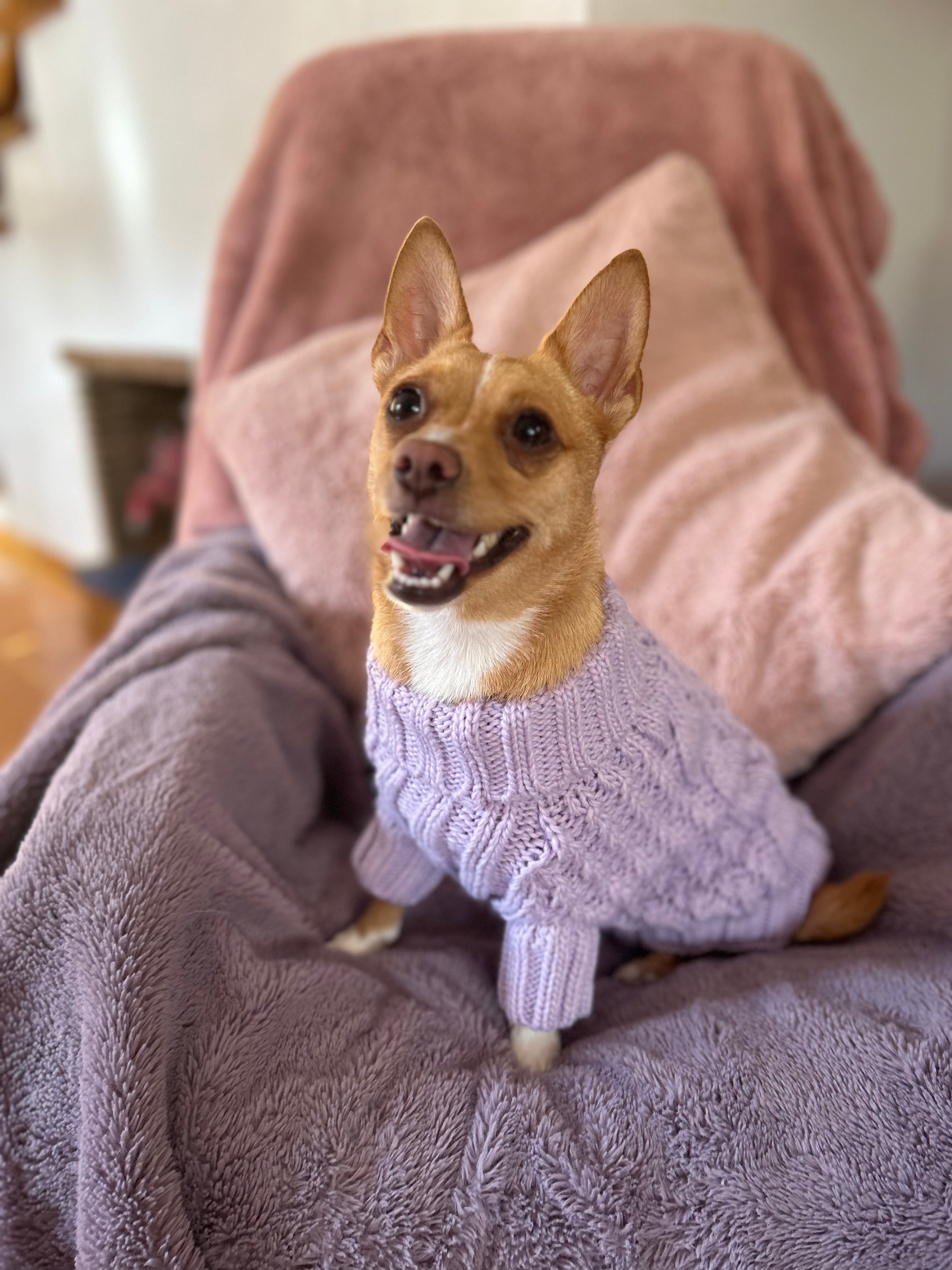 Peppermint Green Pawfect Pup Jumper - Clearance Sale-1